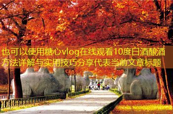 10度白酒酿酒方法详解与实用技巧分享