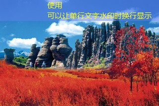 10斤白酒泡多少枸杞才最健康