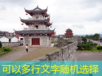 2007年白酒类型的全景解析与市场趋势分析