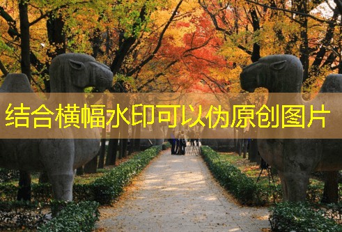 300元一箱的白酒推荐让你在聚会中成为焦点