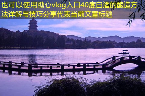 40度白酒的酿造方法详解与技巧分享