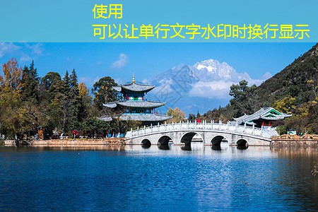 48度白酒的酿造方法揭秘与技巧分享