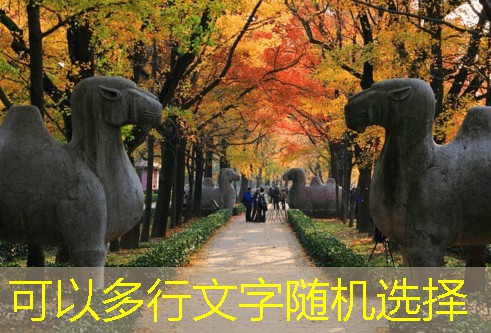 500元左右的白酒如何选择最适合您的款式