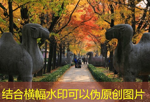 52度白酒最佳保存温度及其影响因素分析