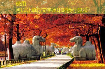一天喝三两白酒的健康注意事项与建议