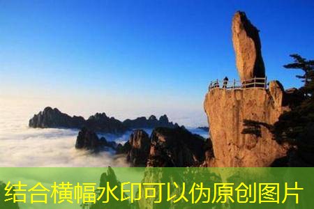 一斤干桑葚泡几斤白酒的最佳比例分析与制作技巧