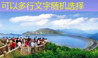 一斤白酒泡多少黑枸杞最合理的比例与方法