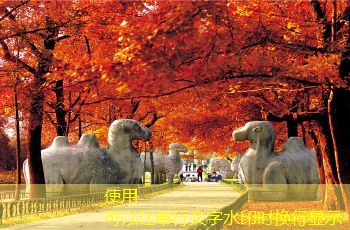 买散白酒时如何选择最适合自己的品牌和款式