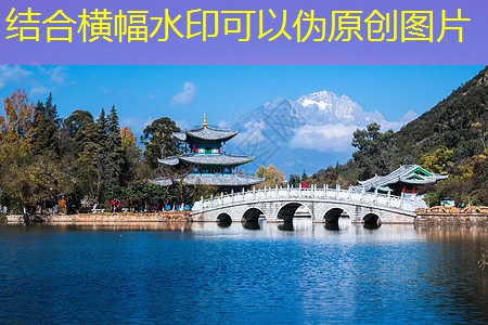 世界上度数最高的白酒揭秘与品鉴指南