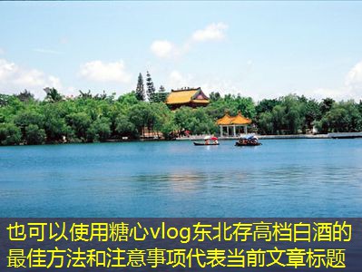 东北存高档白酒的最佳方法和注意事项