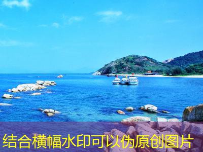 中国白酒的香型分类及其独特魅力解析