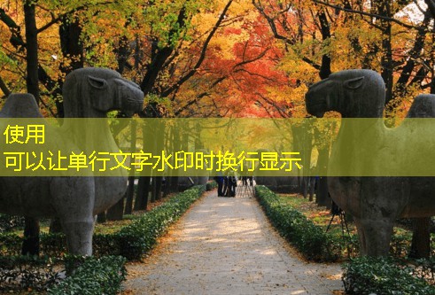 中国白酒最佳存放技巧揭秘与实用建议
