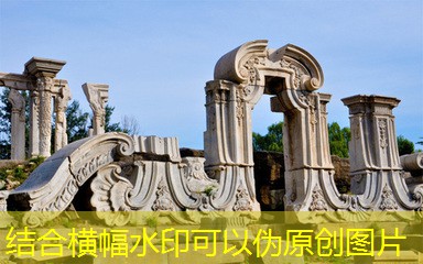 中国白酒的多样性与独特魅力深度解析