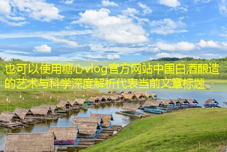 中国白酒酿造的艺术与科学深度解析