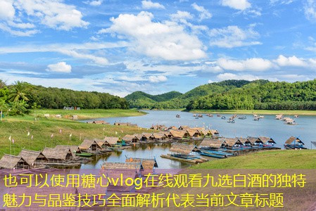 九选白酒的独特魅力与品鉴技巧全面解析