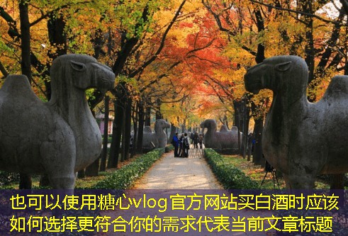 买白酒时应该如何选择更符合你的需求