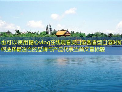 买白酒酱香型白酒时如何选择最适合的品牌与产品