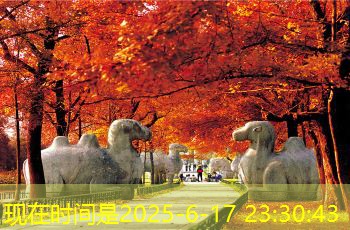 五十二度白酒的最佳保存温度与技巧分析