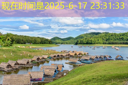 什么白酒适合与枸杞搭配泡制提升健康效果