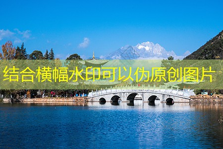 今良造白酒的独特魅力与品鉴指南
