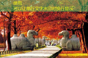 伊利特酿白酒究竟好不好喝你不知道的真相