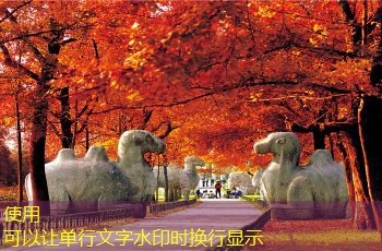低度数白酒推荐适合大众口味的几款佳品