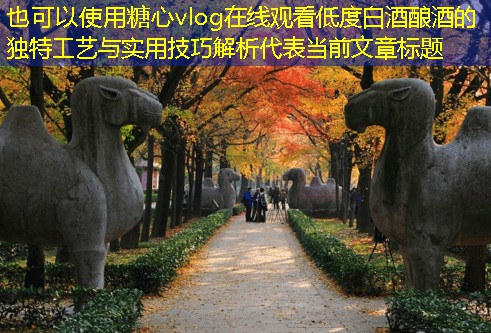 低度白酒酿酒的独特工艺与实用技巧解析