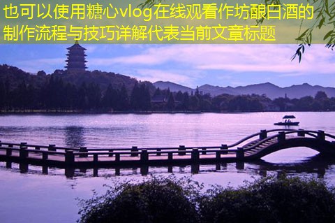 作坊酿白酒的制作流程与技巧详解