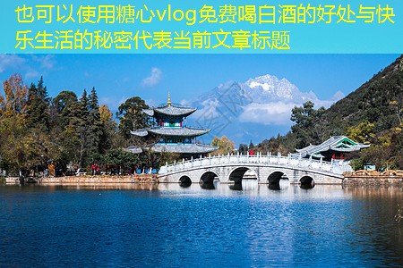 免费喝白酒的好处与快乐生活的秘密