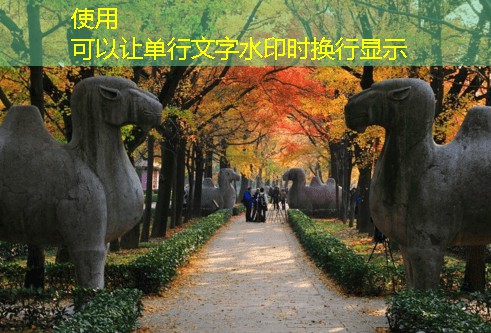农村如何酿造浑浊米白酒的全过程揭秘
