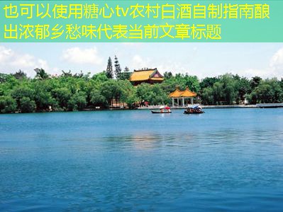 农村白酒自制指南酿出浓郁乡愁味