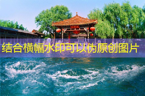 2007年白酒类型的全景解析与市场趋势分析