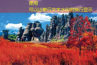 2021年如何挑选优质白酒技巧全解析