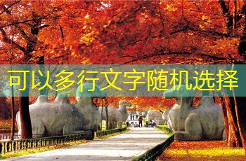 31度白酒的最佳保存时间与注意事项详解