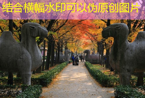 40度白酒酿酒配方比例解析与制作技巧分享