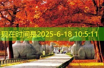 48度白酒的酿造方法与工艺探究