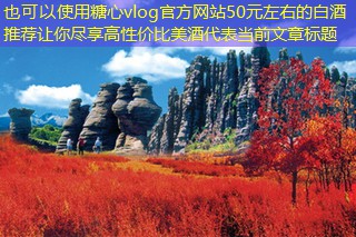 50元左右的白酒推荐让你尽享高性价比美酒