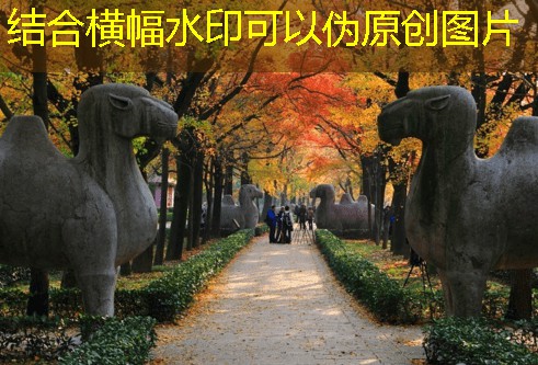 300元一箱的白酒推荐让你在聚会中成为焦点