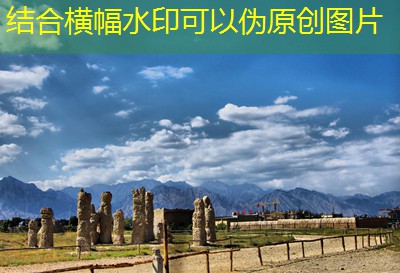 40度白酒酿酒配方详解与制作技巧分享