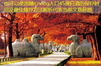 45度白酒的保存时间及最佳储存方法解析