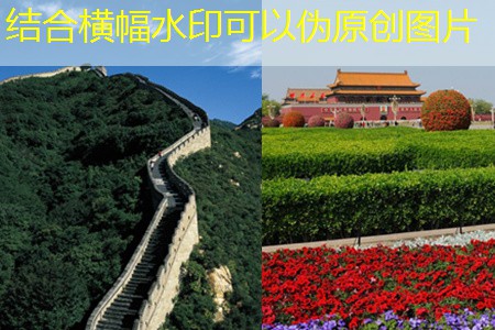 48度白酒的酿造方法揭秘与技巧分享