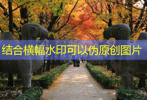 50斤白酒酿酒配方详解与实用技巧分享