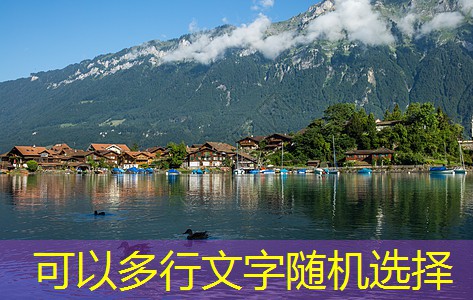 50斤白酒酿酒配方全解析与技巧分享