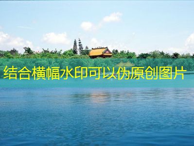 53度白酒的魅力与文化深度解析