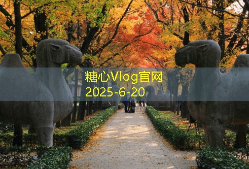 53度白酒酿造方法详解助你掌握传统工艺