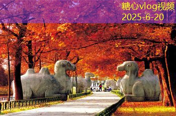 53度白酒存放时间与保质期的关系你了解多少