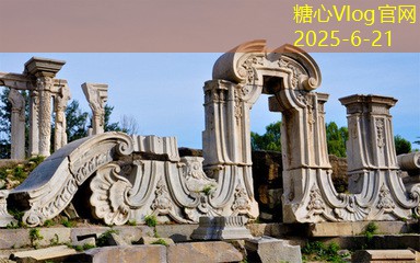 一斤白酒泡多少黑枸杞最合理的比例与方法