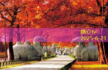 一斤蓝莓泡几斤白酒的完美比例与制作技巧