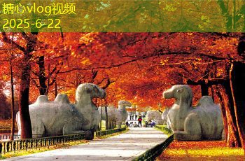五粮液是否生产酱香型白酒及其市场前景分析