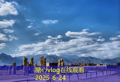 咸丰白酒的酿造工艺揭秘与独特魅力